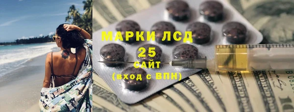 сатива Осинники
