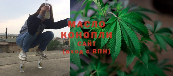 сатива Осинники