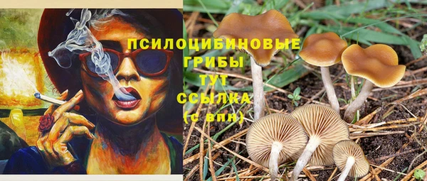 МДПВ Осташков