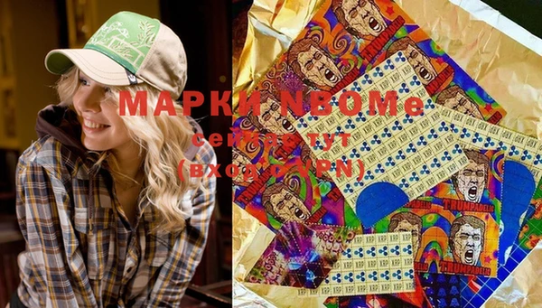 трава Няндома