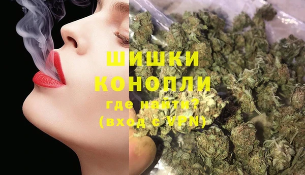 сатива Осинники