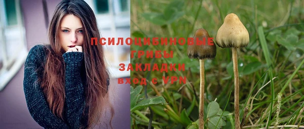 сатива Осинники