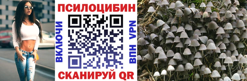 Галлюциногенные грибы Psilocybine cubensis Коряжма